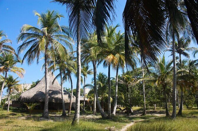 Full Day Mangata Beach Tour Adventure on Rosario Island - Key things to know before you go